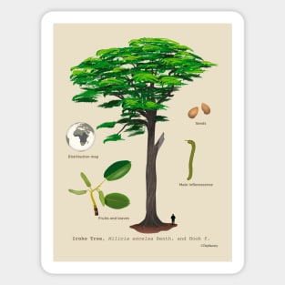 Iroko Tree Sticker